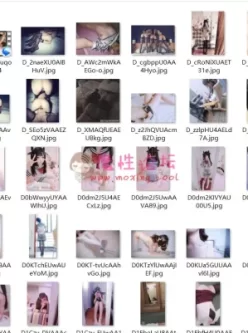 Twitter打包，奶昔萝莉，CC等【164P/26V135M】【百度盘】