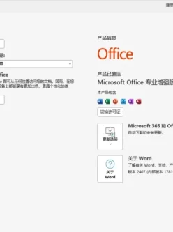 Office2024（17816.2）X64【742M】 绿色免安装版加入AI功能老爷机的福 音